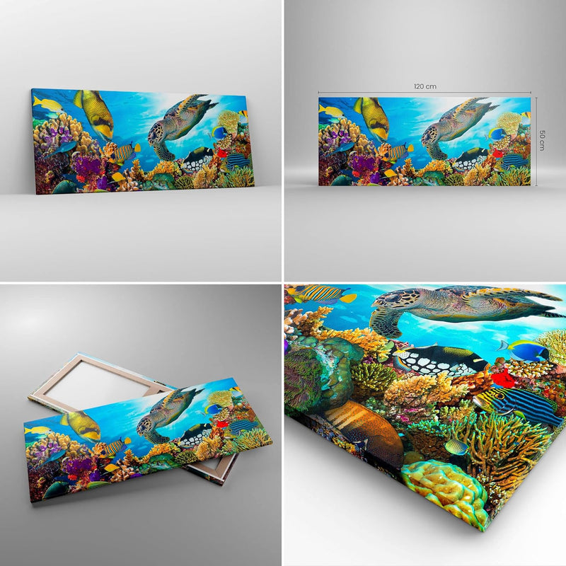 Wandbilder Dekoration Wohnzimmer Riff Koralle Fisch Panorama Bilder auf Leinwand 120x50cm Leinwandbi