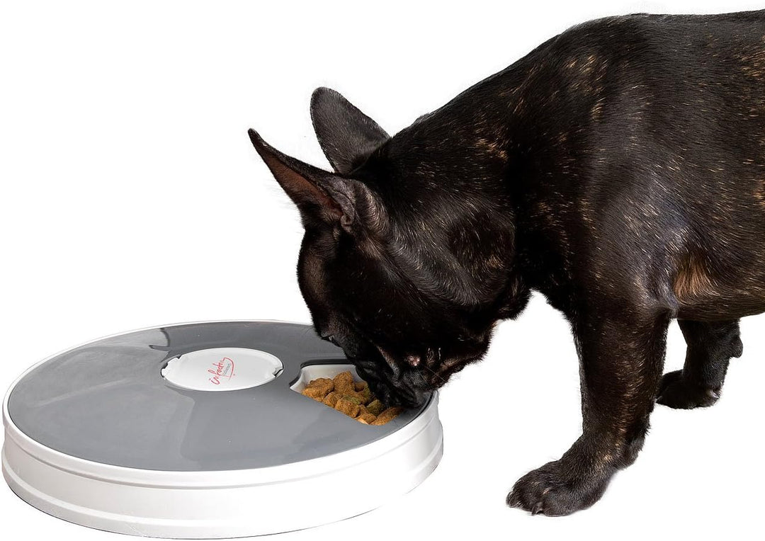 infactory Katzenfutterautomat: Zeitgesteuerter 6-Fach-Katzen- & Hunde-Futterspender, LCD-Display (Fu