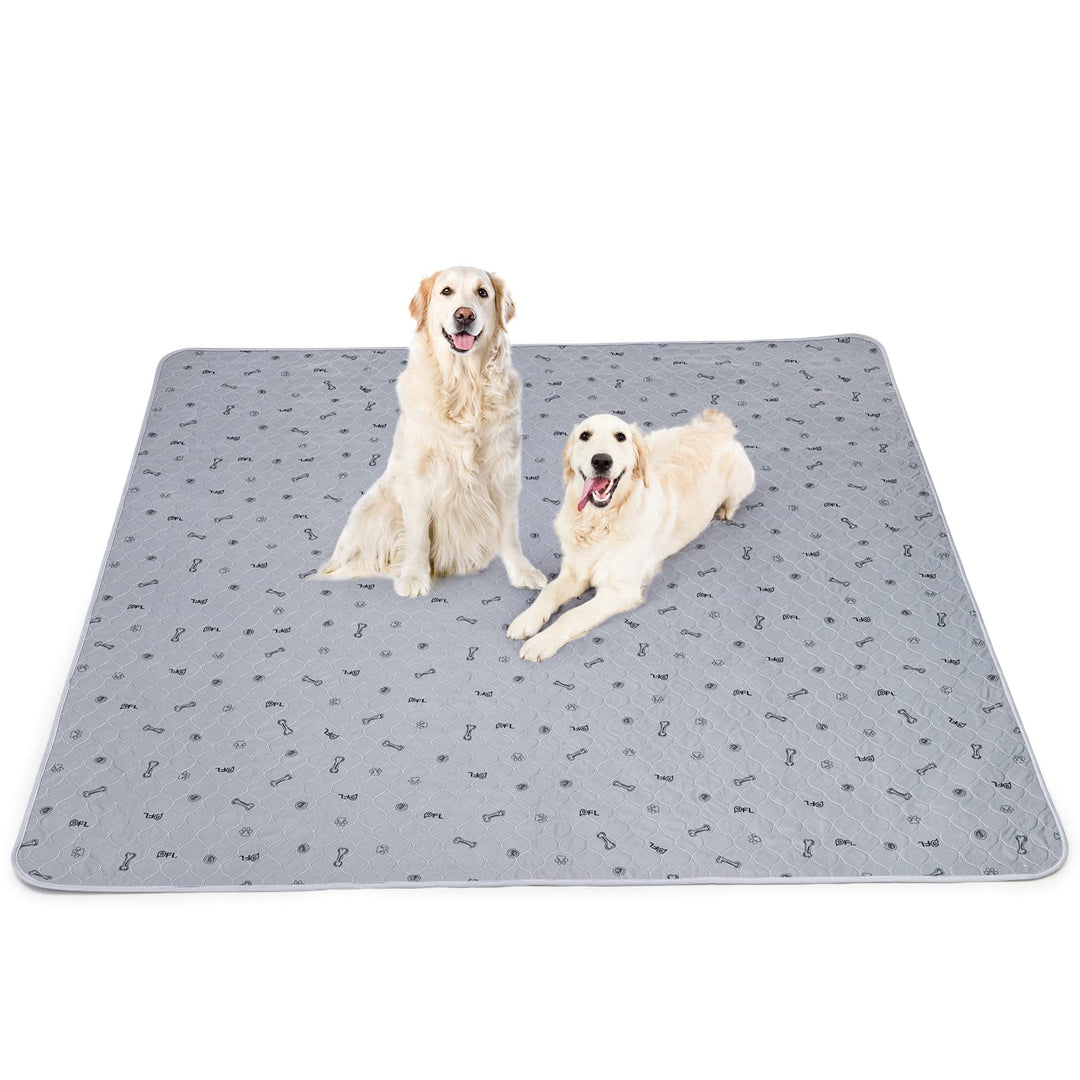 1 Stück sehr saugfähige PIPI-Matten für Hunde, 168*125cm wasserdicht und waschbar Puppy Training Pad
