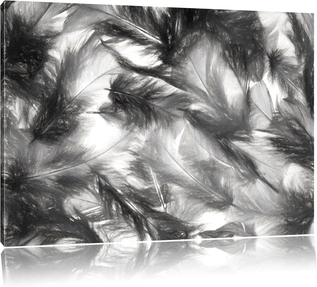 Pixxprint Anordnung von Federn als Leinwandbild/Grösse: 100x70 cm/Wandbild/Kunstdruck/fertig bespann