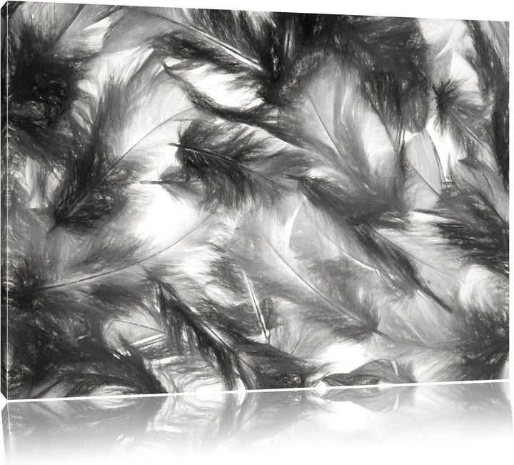 Pixxprint Anordnung von Federn als Leinwandbild/Grösse: 100x70 cm/Wandbild/Kunstdruck/fertig bespann