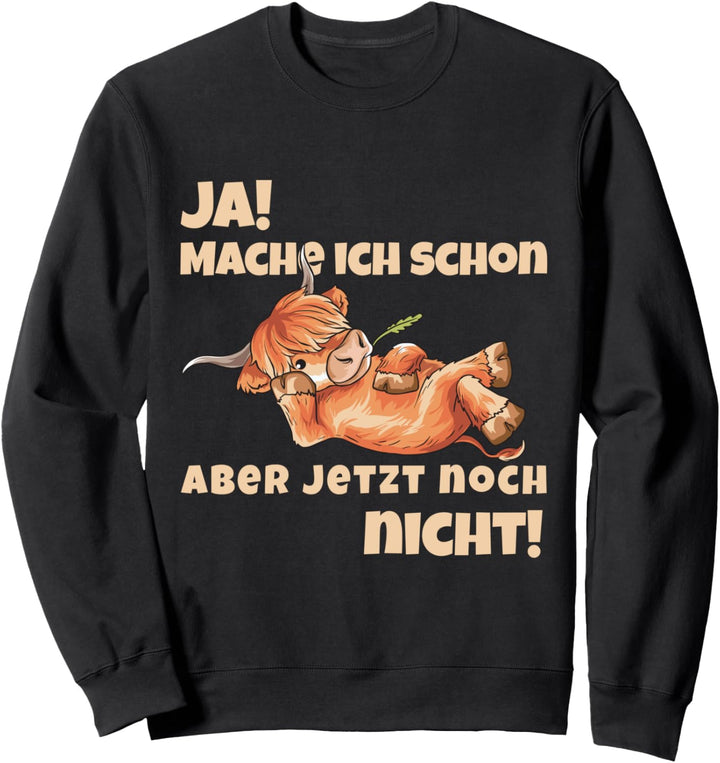 Nur jetzt halt nicht Hochlandrind Highland Cattle Kuh Sweatshirt