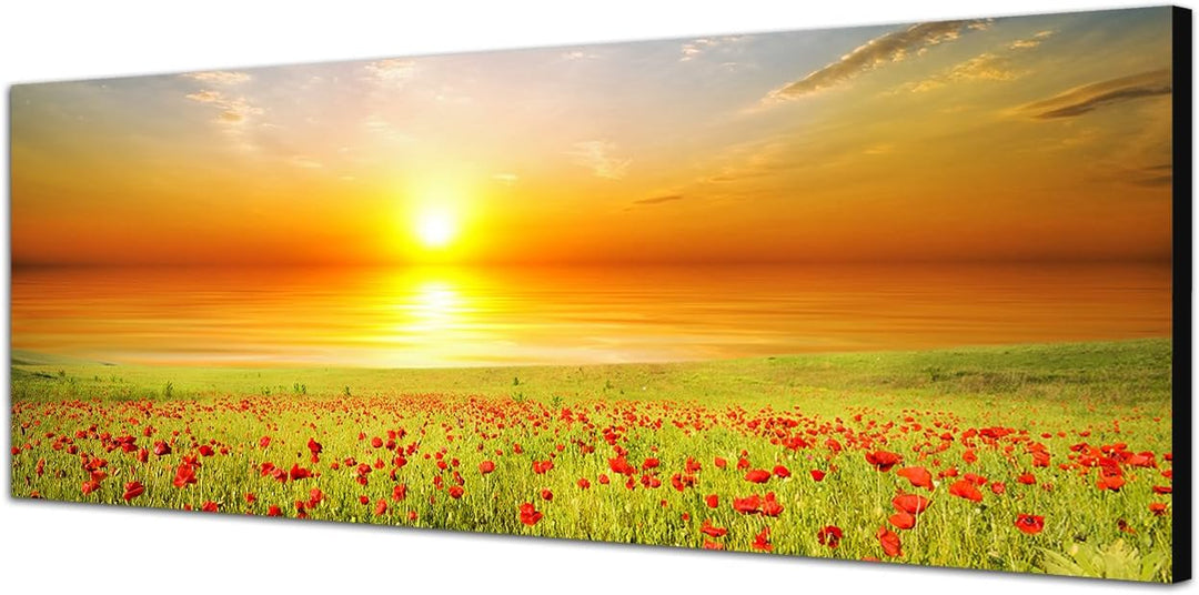 Paul Sinus Art Panoramabild auf Leinwand und Keilrahmen 120x40cm Mohnblumen Feld Frühling Sonnenunte