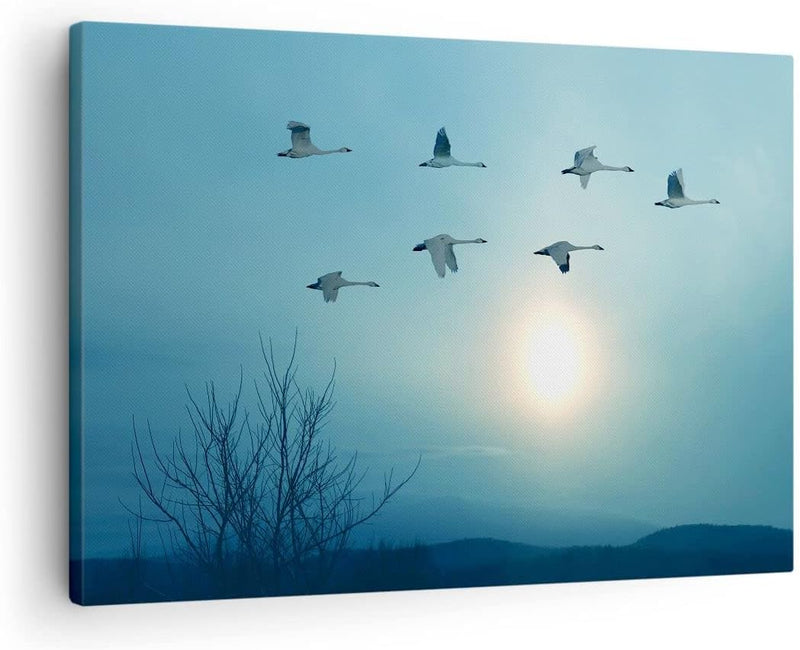 Bilder auf Leinwand Storch Vogel Natur Leinwandbild mit Rahmen 70x50cm Wandbilder Dekoration Wohnzim