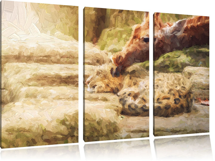 Pixxprint Leopard und Giraffe / 3-Teilig/Gesamtmass 120cm Leinwandbild bespannt auf Holzrahmen/Wandb