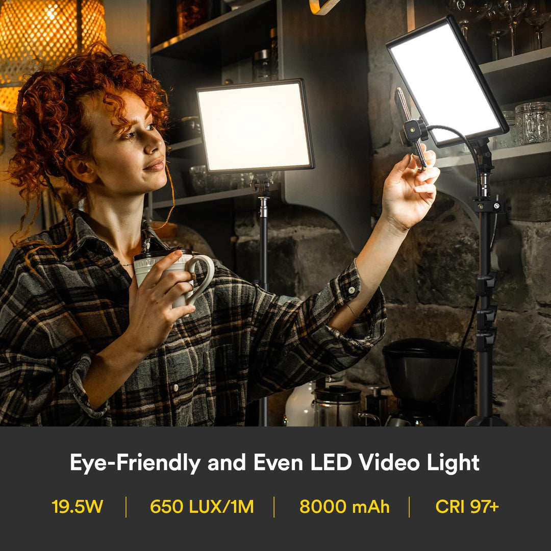 LED Video Kamera Licht, RALENO 2 Pack 384 LED Sanftes Videoleuchte mit 79" Einstellbarer Stativ Hand