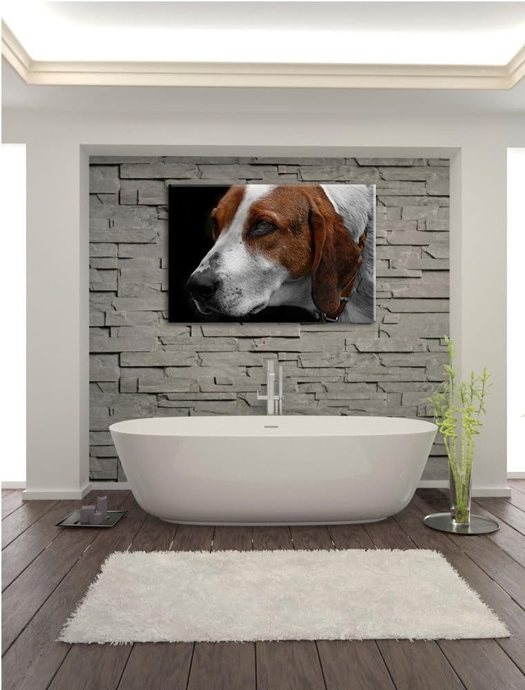 Dark hübscher Hund im Seitenprofilauf Leinwand, XXL riesige Bilder fertig gerahmt mit Keilrahmen, Ku