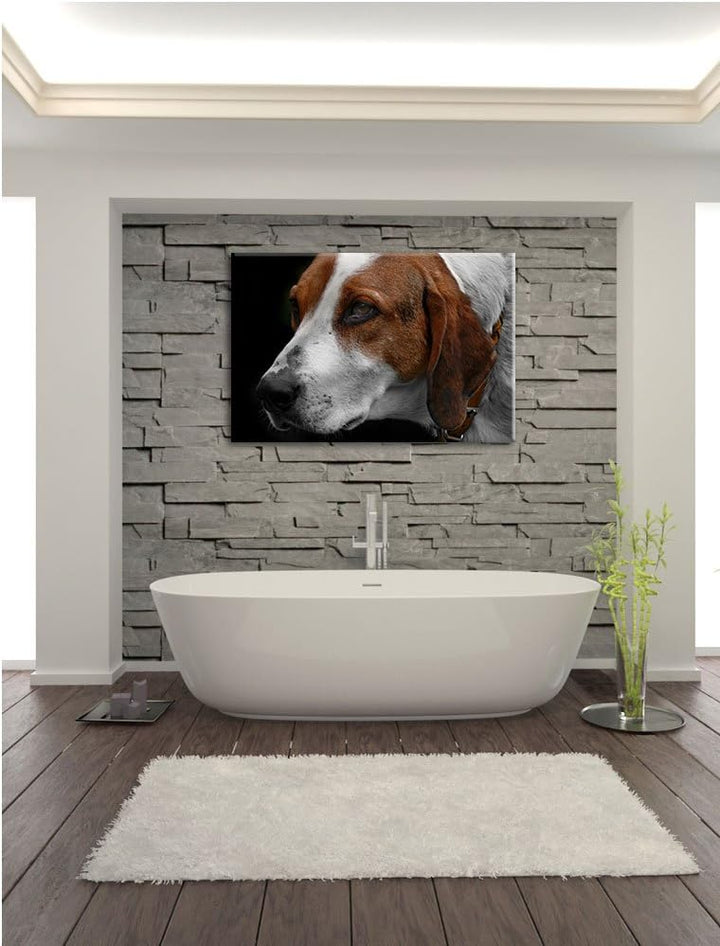 Dark hübscher Hund im Seitenprofilauf Leinwand, XXL riesige Bilder fertig gerahmt mit Keilrahmen, Ku