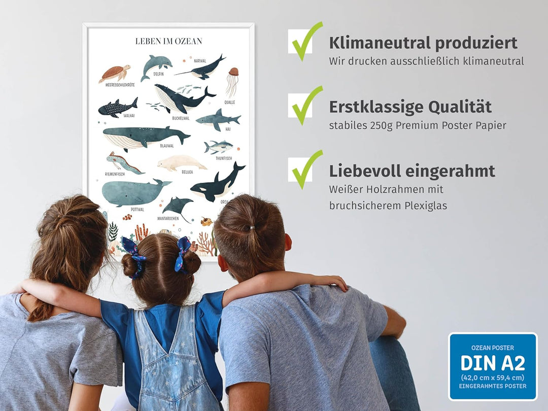 kizibi® Unterwasserwelt Lernposter für Kinderzimmer - Detailliertes DIN A2 Poster des Meeres & Ozean