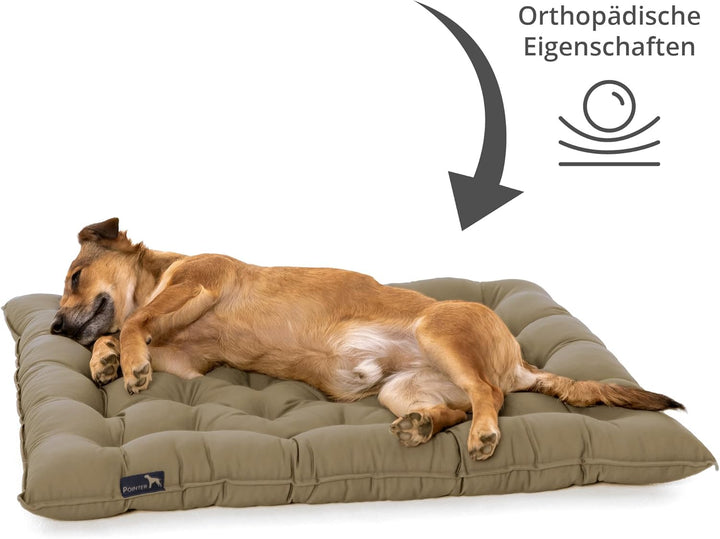 Doctor Bark Pointer | Hundekissen Urban - orthopädisch, waschbar, robust, bequem (XXL - 80x70 cm, Go
