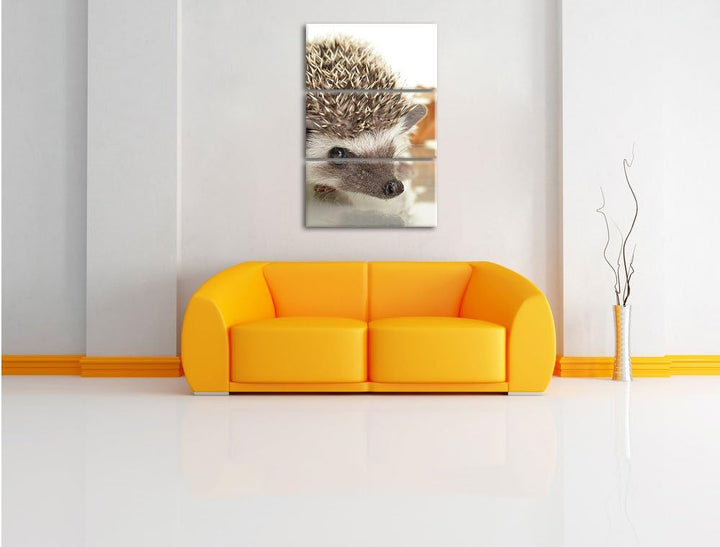 Pixxprint Süsser Igel 3-Teiler Leinwandbild 120x80 Bild auf Leinwand,