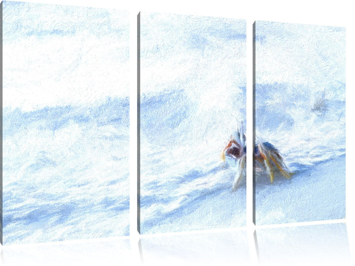 kleine Krabbe am Strand NewArt 3-Teiler Leinwandbild 120x80 Bild auf Leinwand, XXL riesige Bilder fe