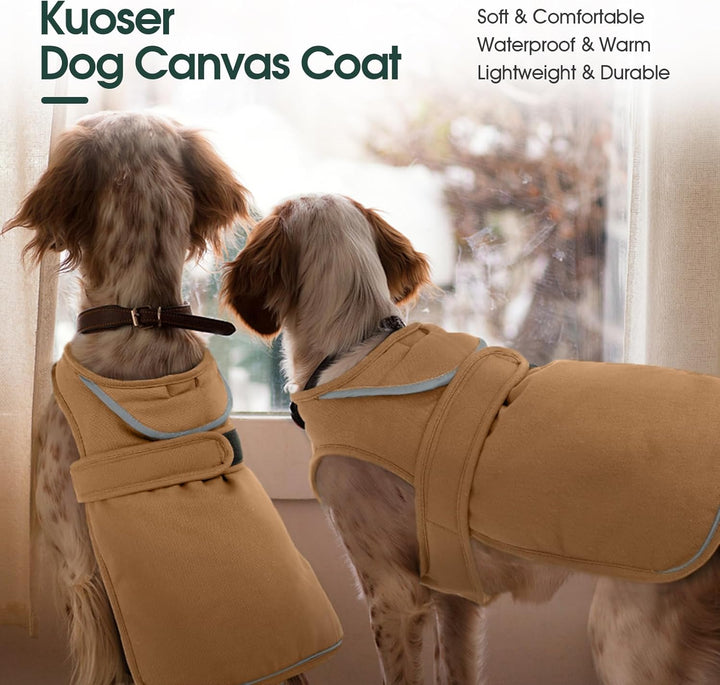 Kuoser Wasserdicht Hundemantel Hundejacke für Kleine Mittelgrosse Hunde, Reflektierende Leinwand Win