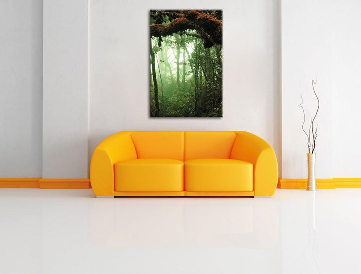 Pixxprint Regenwald Moos Lianen See / 100x70cm Leinwandbild bespannt auf Holzrahmen/Wandbild Kunstdr