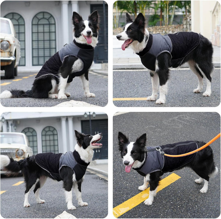 Warmer Fleece-Hundemantel für kleine Hunde, D-Ringe, wasserdichte Welpenjacke für den kalten Winter,