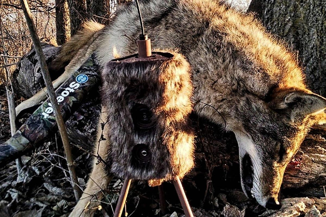 MOJO Outdoors Critter Decoy Tierköder Einheitsgrösse Super Critter, Einheitsgrösse Super Critter