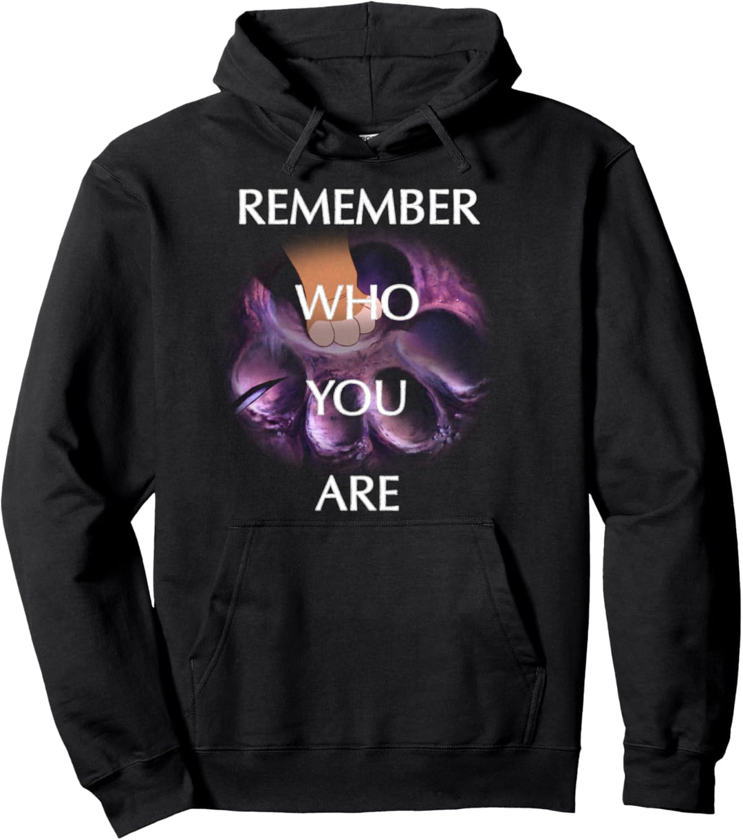 Disney The Lion King Simba Remember Who You Are Overlay Pullover Hoodie
