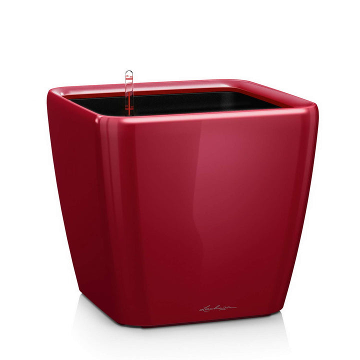 LECHUZA QUADRO Premium LS 21 scarlet rot hochglanz 16127 21x21x20 cm Scarlet Rot Hochglanz, 21x21x20