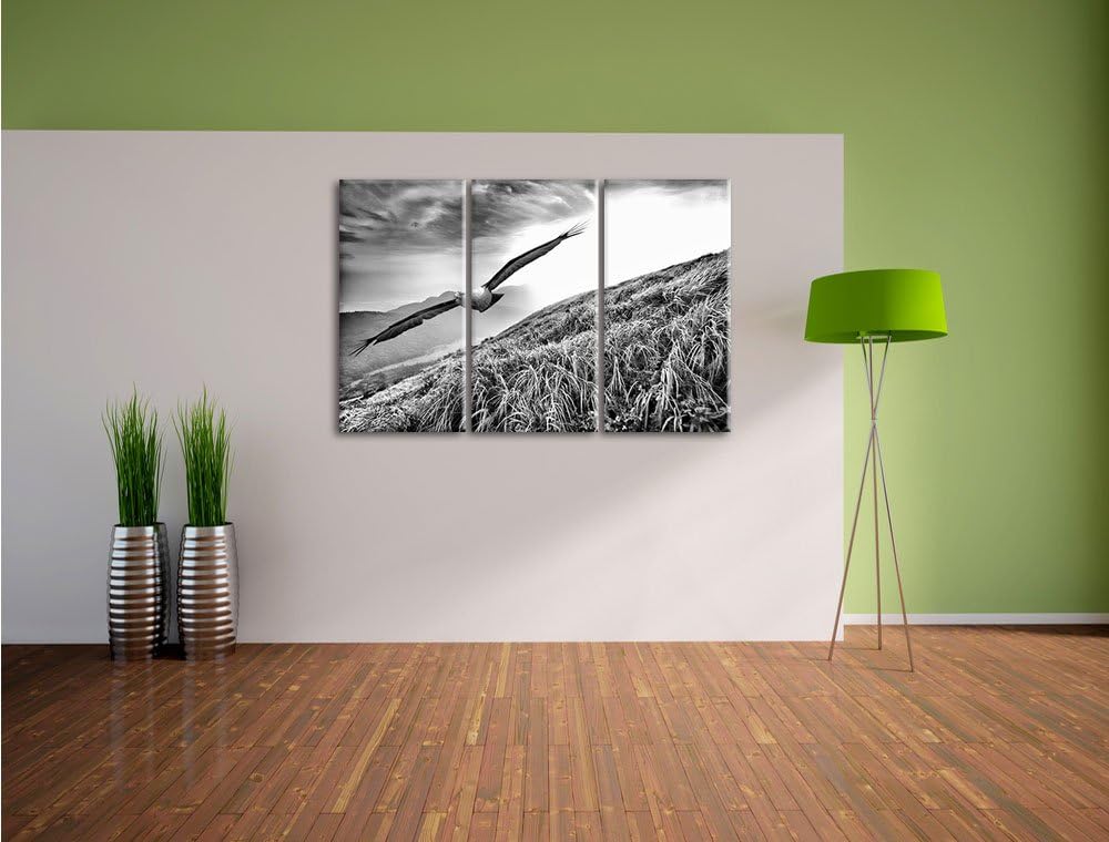 Pixxprint Majestätischer Weisskopfseeadler als Leinwandbild/Grösse: 3 Teilig (120x80) cm/Wandbild/Ku