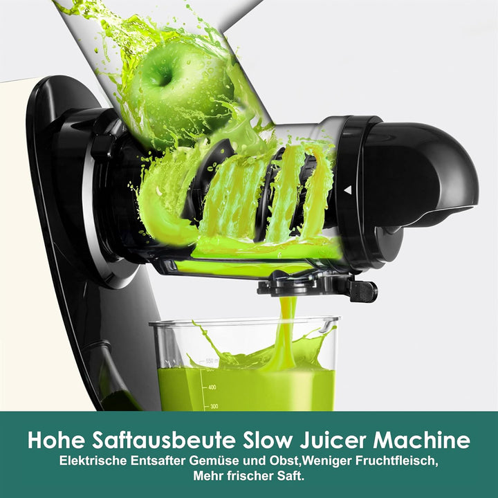 Fretta Slow Juicer Entsafter Gemüse und Obst Saftmaschine Silber, 200W Saftpresse Elektrisch Obstpre