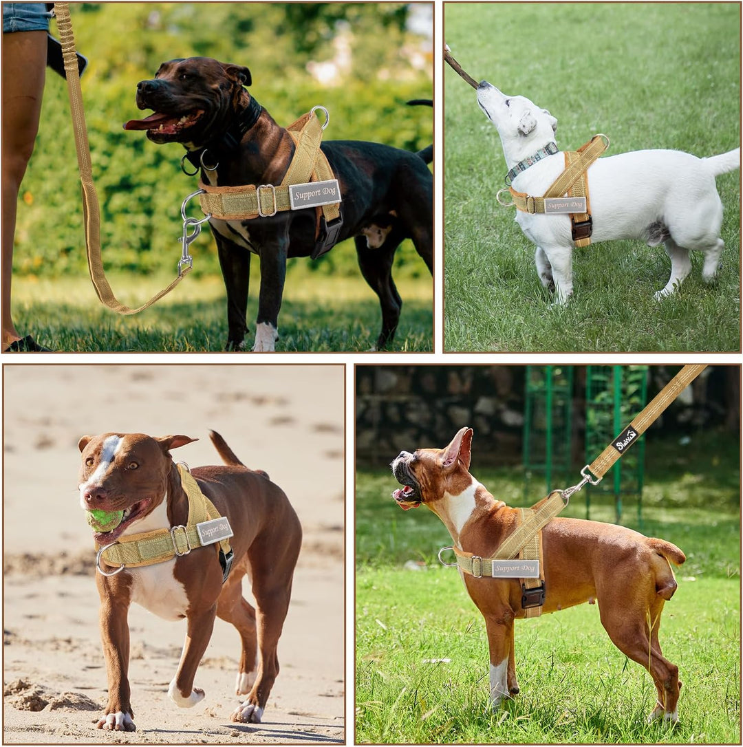 Hundegeschirr mit Leine für grosse mittelgrosse Hunde, Weich gepolsterter Brustgeschirr mit 2 Leinen
