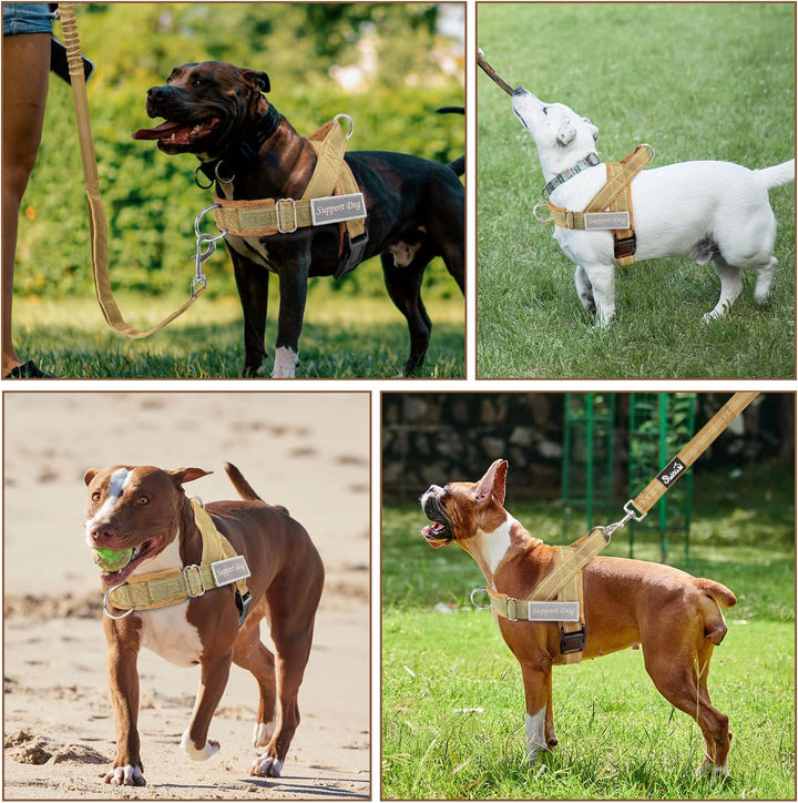 Hundegeschirr mit Leine für grosse mittelgrosse Hunde, Weich gepolsterter Brustgeschirr mit 2 Leinen
