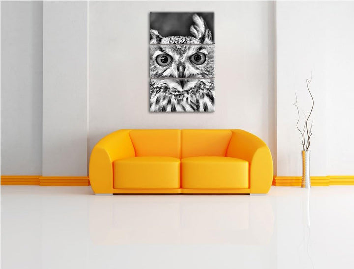 Pixxprint Eulen Kautz Orange Augen als Leinwandbild/Grösse: 3 Teilig (120x80) cm/Wandbild/Kunstdruck