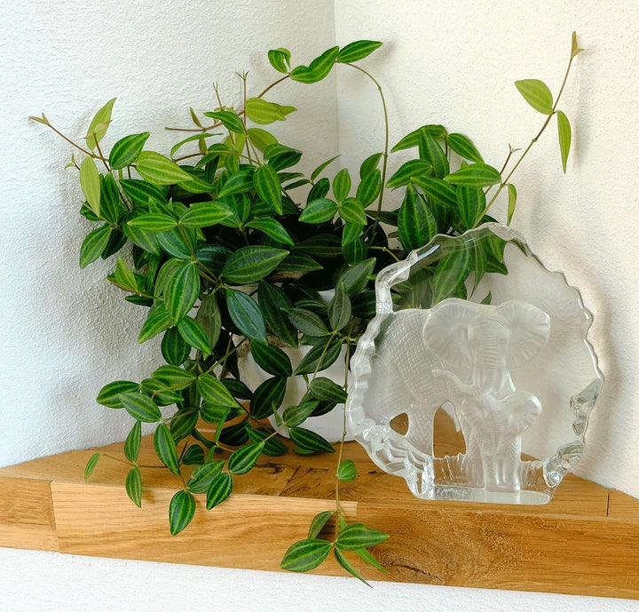 Kaltner Präsente Geschenkidee - Glas Aufsteller Figur Skulptur Elefant mit Elefantenbaby