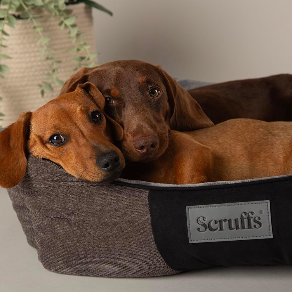 Scruffs M Chester Box Bett Graphite-Medium, Grau, M 60 x 50 cm Grau M 60 x 50 cm, Grau M 60 x 50 cm