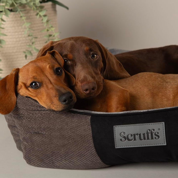 Scruffs M Chester Box Bett Graphite-Medium, Grau, M 60 x 50 cm Grau M 60 x 50 cm, Grau M 60 x 50 cm