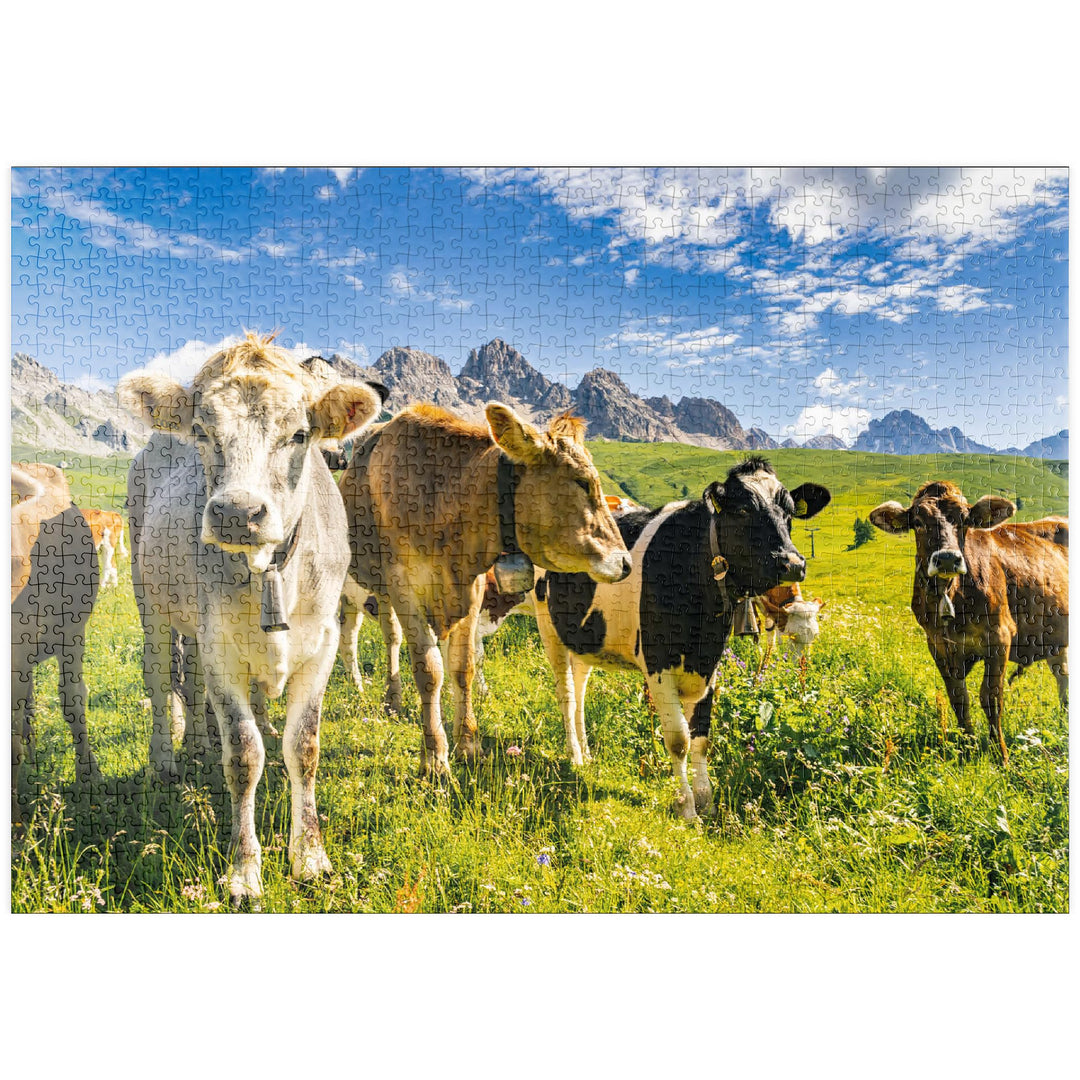Kühe vor Einer Idyllischen Alpen-Landschaft - Premium 1000 Teile Puzzle - MyPuzzle Sonderkollektion