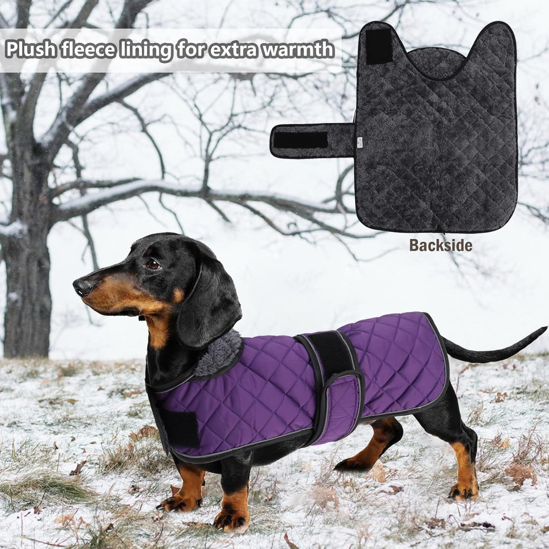 Geyecete - Warmer wintermantel für dackel Hunde,Hunde Winterjacken mit plüschfutter,Outdoor jacken m