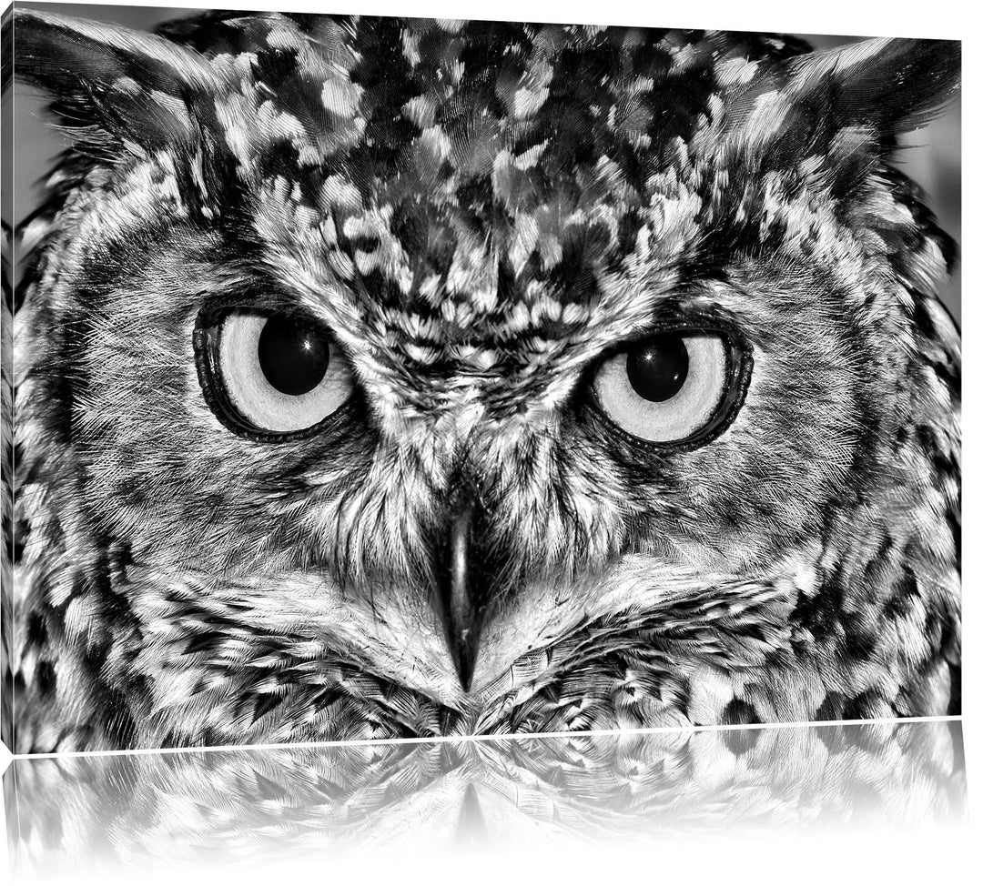 Pixxprint Eule mit gelben Augen als Leinwandbild/Grösse: 100x70 cm/Wandbild/Kunstdruck/fertig bespan