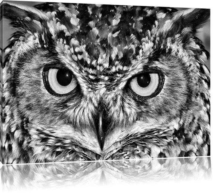 Pixxprint Eule mit gelben Augen als Leinwandbild/Grösse: 100x70 cm/Wandbild/Kunstdruck/fertig bespan