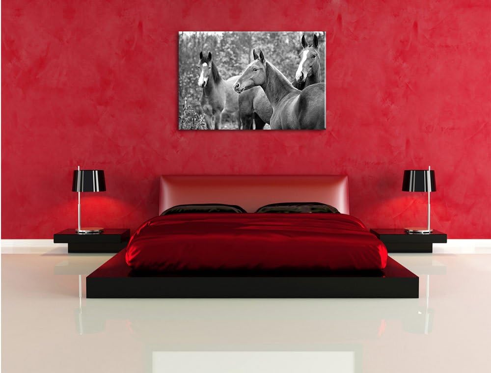 Pixxprint Pferde auf der Wiese als Leinwandbild/Grösse: 100x70 cm/Wandbild/Kunstdruck/fertig bespann