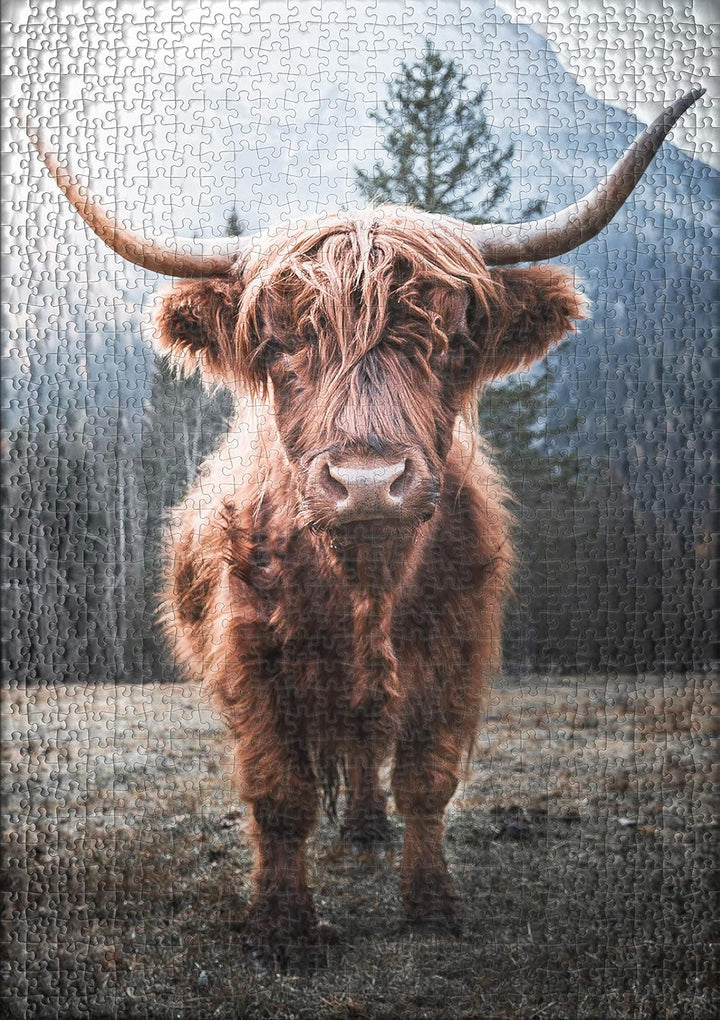 Ulmer Puzzleschmiede - Tier-Puzzle „Hochland“– Klassisches 1000 Teile Puzzle – Puzzlemotiv vom kraft