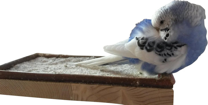 Vogelgaleria® Eck Sitzbrett 20x20cm mit Natur Holz Bordüre für Vögel wie Nymphensittich Wellensittic