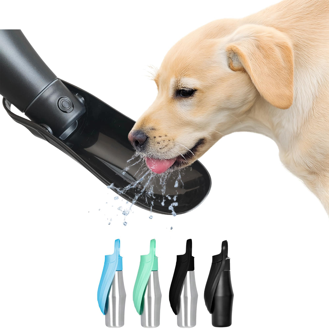 Hundetrinkflasche Edelstahl 800 ml 2 in 1 Wassernapf, All Black | Auslaufsicher, Für unterwegs, Auto