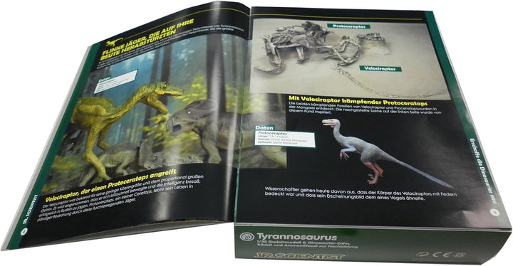 EDU-TOYS Experimentier-Set Tyrannosaurus GK008 ab 8 Jahre