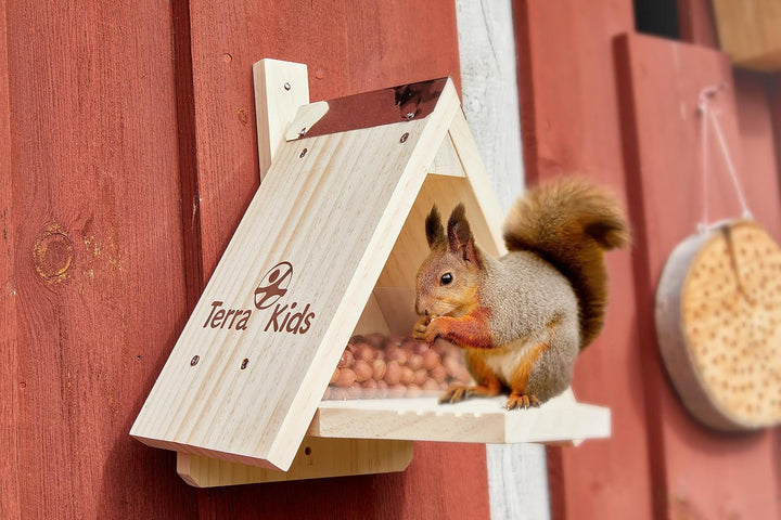 HABA Terra Kids Eichhörnchen Futterhaus-Bausatz