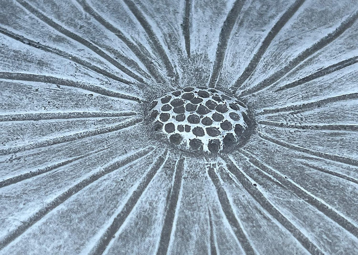 stoneandstyle kleine Vogeltränke mit Vogel frostfest Steinguss