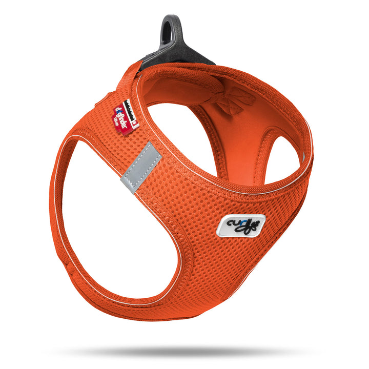 Curli Vest Harness D-Ring Buckle Mandarin M mit curli D-Ring Buckle Medium Mandarin, mit curli D-Rin