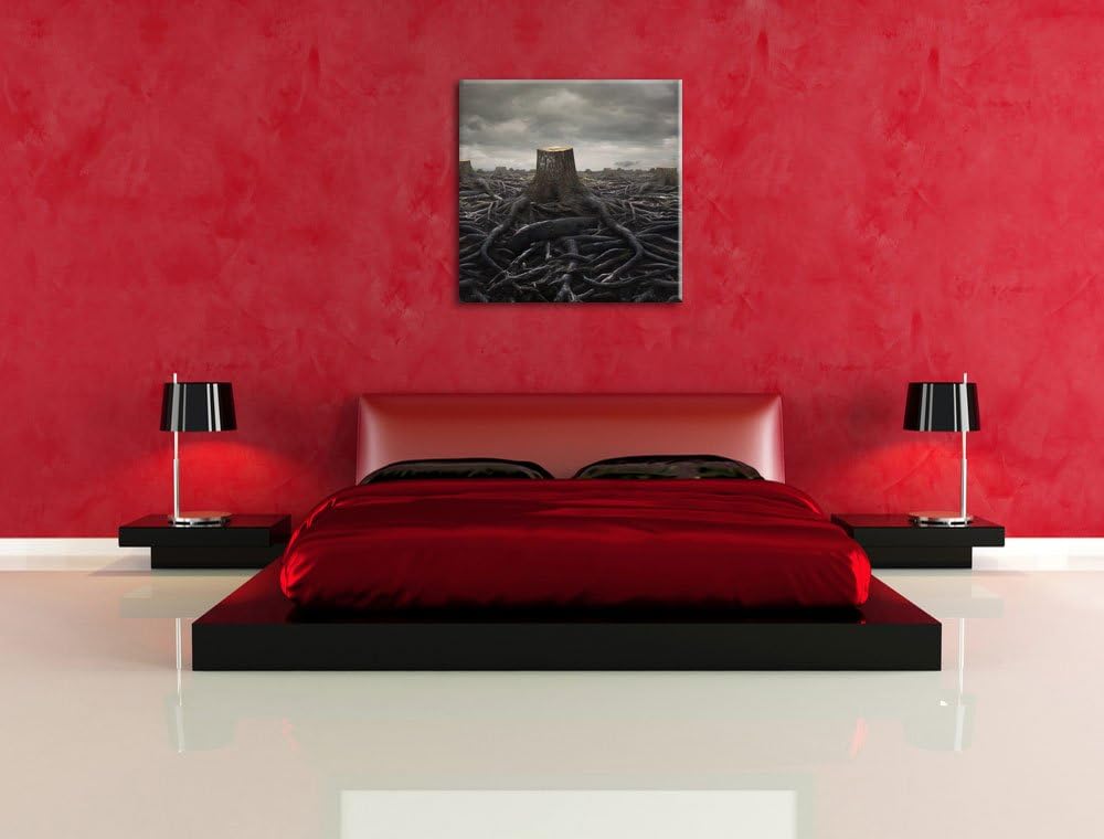 Pixxprint Gerodeter Wald, Format: 70x70 auf Leinwand, XXL riesige Bilder fertig gerahmt mit Keilrahm