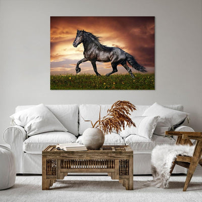 Bilder auf Leinwand 100x70cm Leinwandbild mit Rahmen Pferd Tier Wiese Gross Wanddeko Bild Schlafzimm