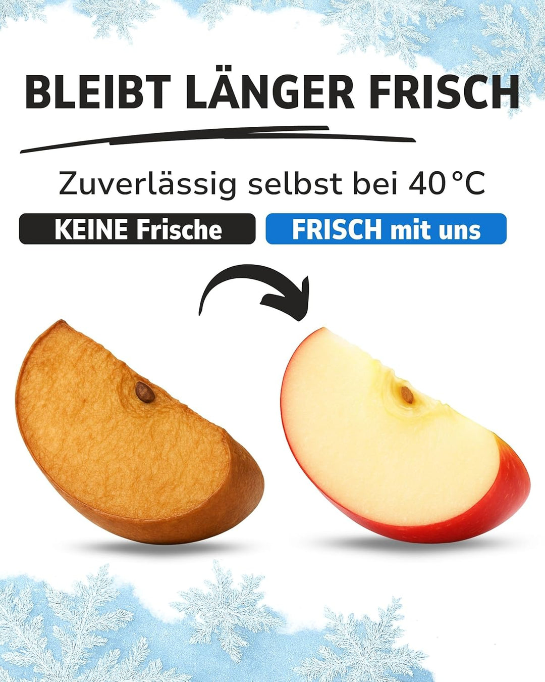 ToCi 2/4/6/8/12/16er Set Kühlakkus mit je 200ml | 2-16 Blaue Kühlelemente für die Kühltasche oder Kü
