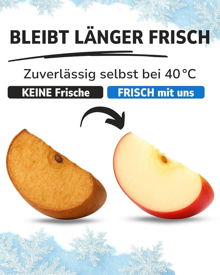 ToCi 2/4/6/8/12/16er Set Kühlakkus mit je 200ml | 2-16 Blaue Kühlelemente für die Kühltasche oder Kü