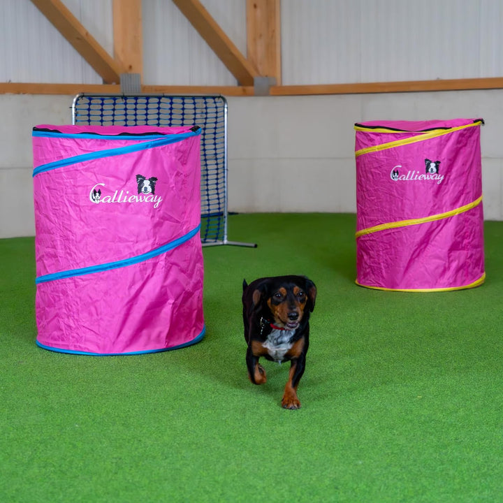 Callieway Hoopers Agility Barrel – Tonne/Fass für Hundetraining (Doppelpack, Blau) | Leicht, stabil