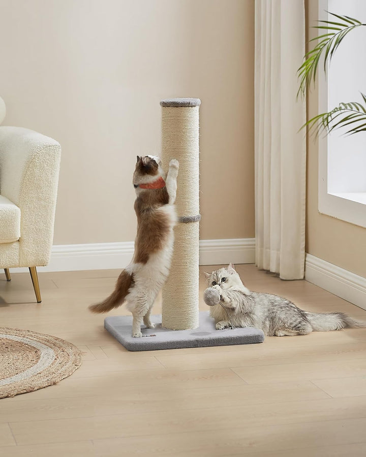 Feandrea Kratzbaum, 85 cm hoch, Kratzsäule XL, 13 cm Dicker Stamm, Katzenbaum, Kratzstamm für mittel