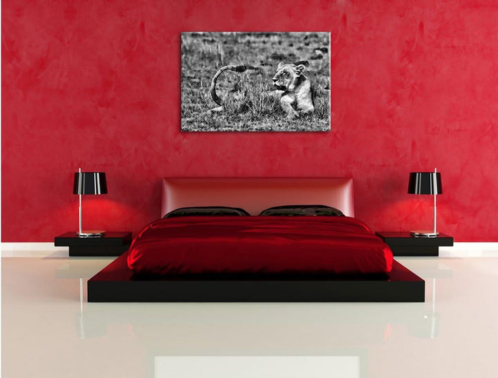 Pixxprint Monocrome, Löwin entspannt im Gras, Format: 100x70 auf Leinwand, riesige Bilder fertig ger