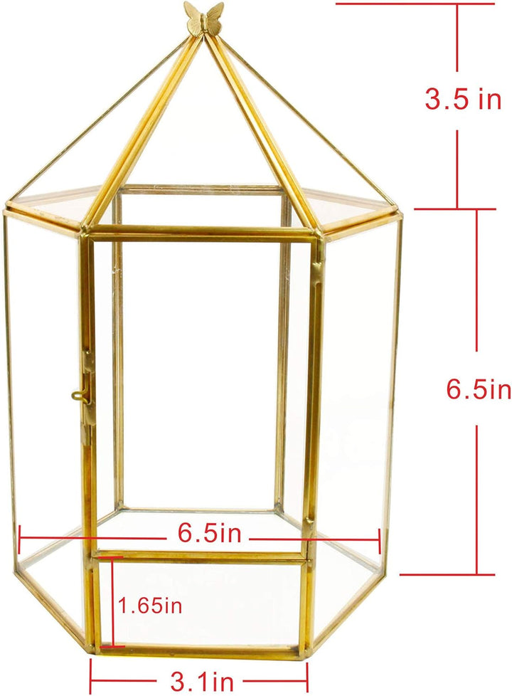 ELEGANTLIFE Geometrisches Pflanzenterrarium aus Glas, Sukkulenten- und Luft-Pflanzgefäss für Zuhause